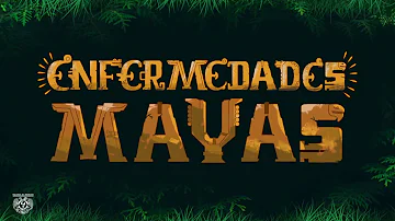 ¿Qué enfermedad mató a los mayas?