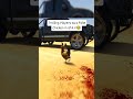 We stole his truck as chickens..😂🙏 #shorts #gta