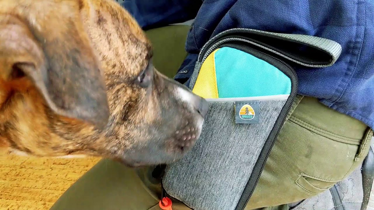 Spruce Leash Bag Features