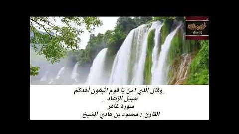 قراءة هادئة من سورة غافر للقارئ محمود هادي