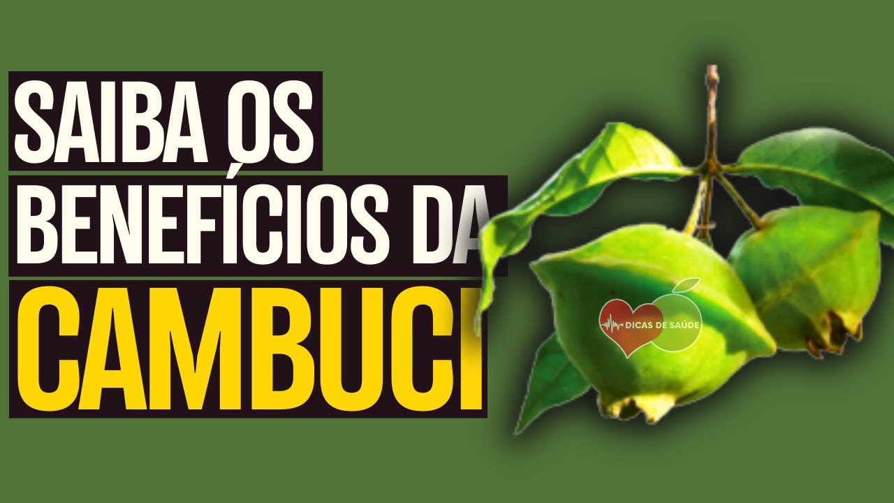 QUAIS OS BENEFÍCIOS DA FRUTA CAMBUCI? PARA QUE SERVE?... VEJA AGORA!