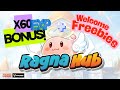 RagnaHub - Creator Tier 2 Rebirth!