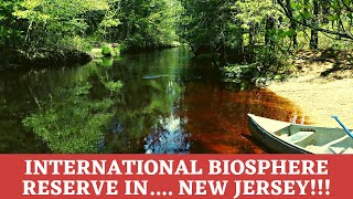 Understanding an ecological treasure the Pine Barrens of New Jersey