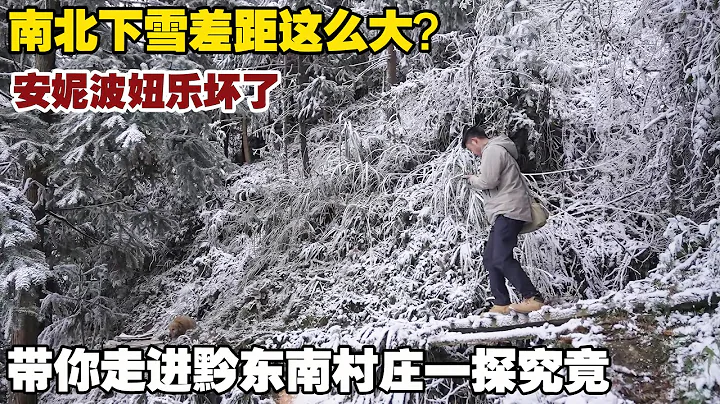 Why Are Southerners Excited About Snow? Snowfall in Guizhou Village - Calling All Northern Friends! - DayDayNews