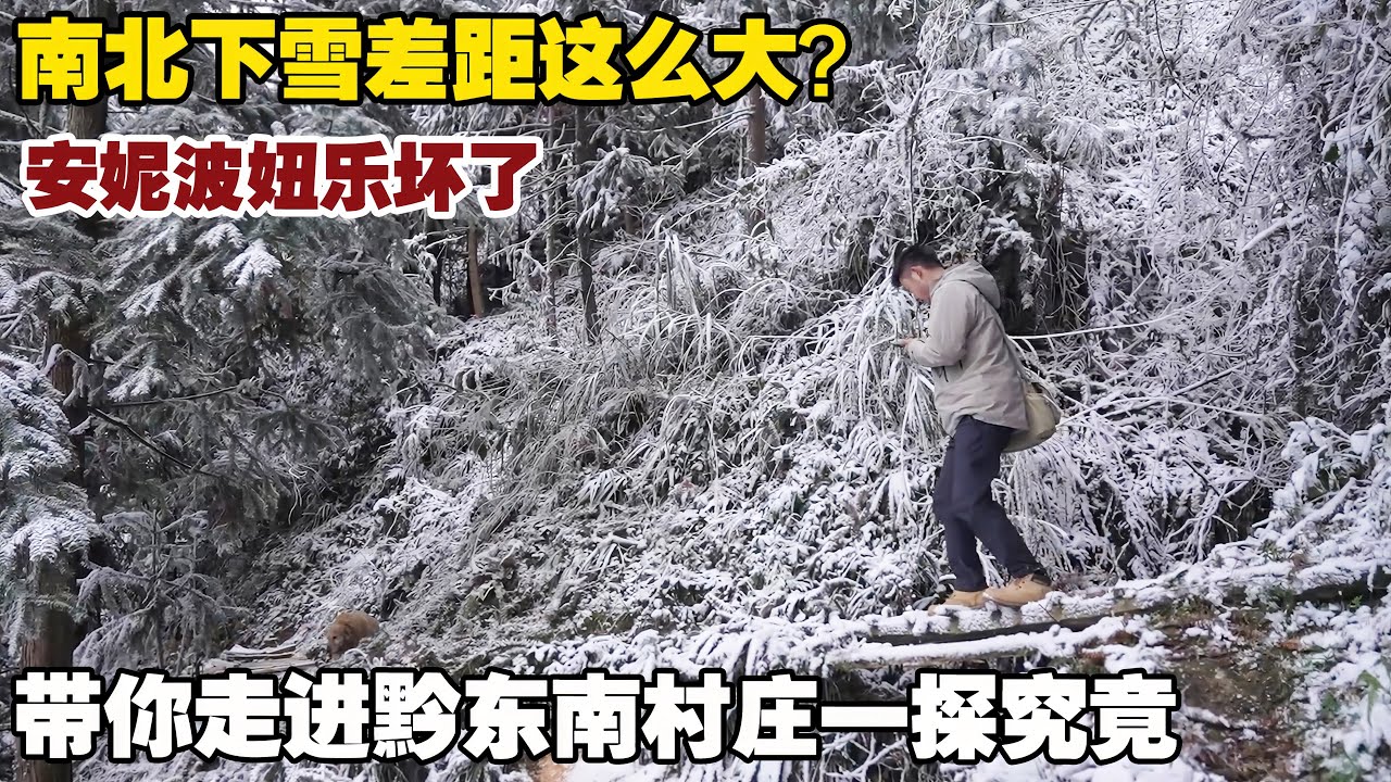 南方人对下雪这么兴奋？贵州山里的村子下雪了，北方朋友看过来【小白的奇幻旅行】