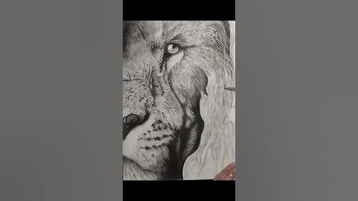 "the lion worships The Lion."  #christian #art #charcoaldrawing #viral #elevationworship