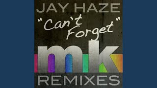 Can&#39;t Forget (MK&#39;s 2009 is Mine Remix)