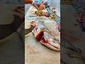 Fish cutting At Home With kinfe Scale 🐟🔪| #shorts #shortsfeed #fishcutting
