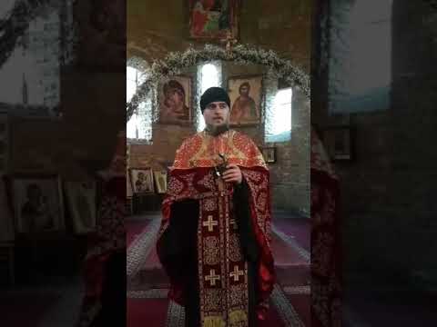 დეკანოზი შალვა კეკელია ♥️