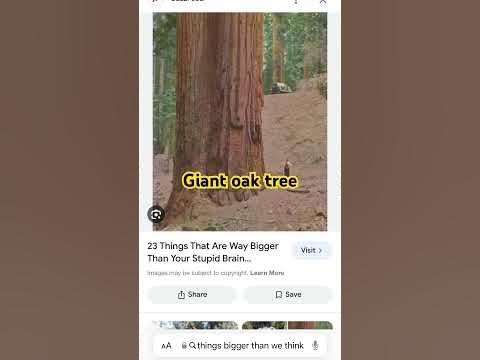 Things bigger than we think - YouTube Things bigger than we think - YouTube