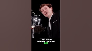 Epic Obstacle Course Challenge  Will Matt Win $800000