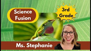 Science Fusion Third Grade Flip Through - Outschool - F.A.Q. from Homeschooling Parents like YOU!