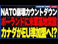ついにNATO分裂か。米国がポーランドに常設米軍基地設置へ！その一方でカナダが米国から離れ、欧州と独自の軍事同盟を結成する可能性が出てきました。