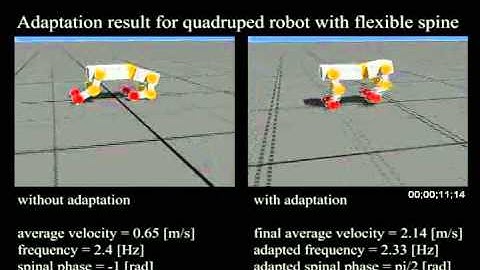 Adaptive natural oscillator exploiting natural dynamics of a flexible spine