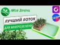 Лучший лоток для выращивания Микрозелени дома