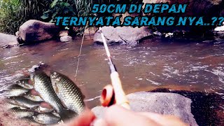 Plung Nyoott.. Mancing Ikan Benteurwader Pas Di Sarang Nya Spot Beunteur Kab. Cianjur