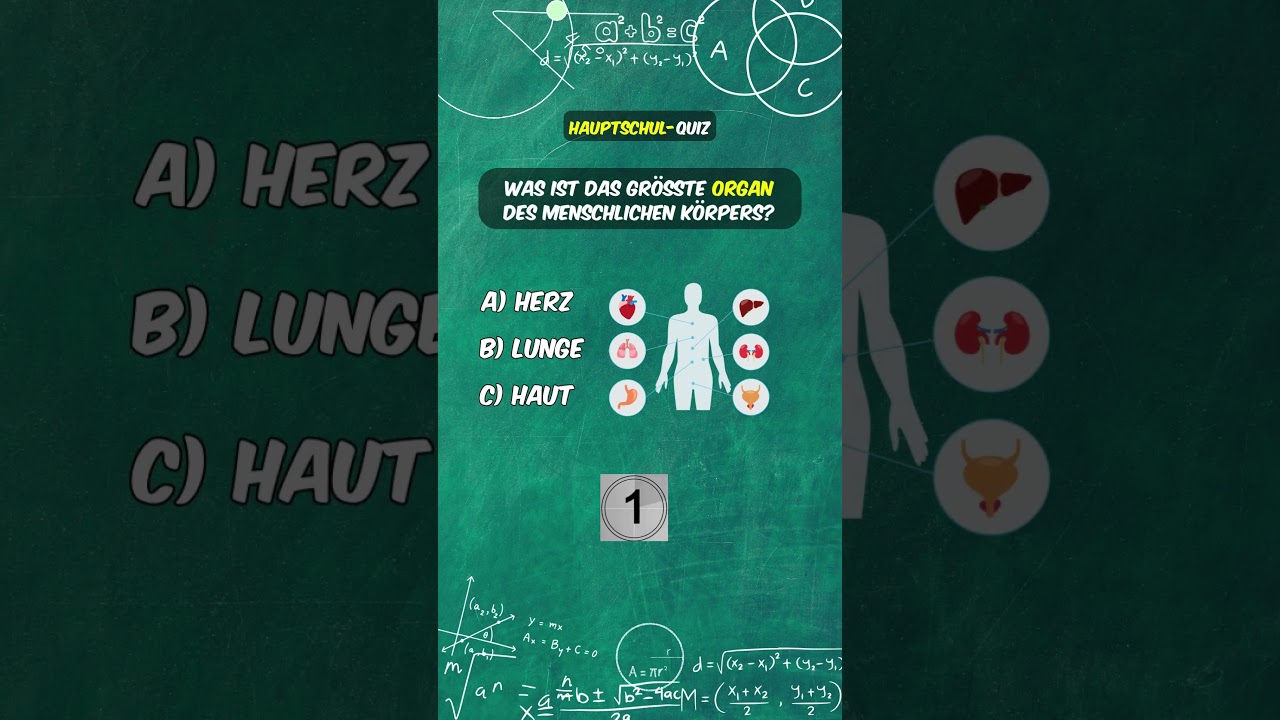 Teste Dein Wissen: Bestehst Du die Hauptschule? | Schnelles Quiz | Quiz Oase