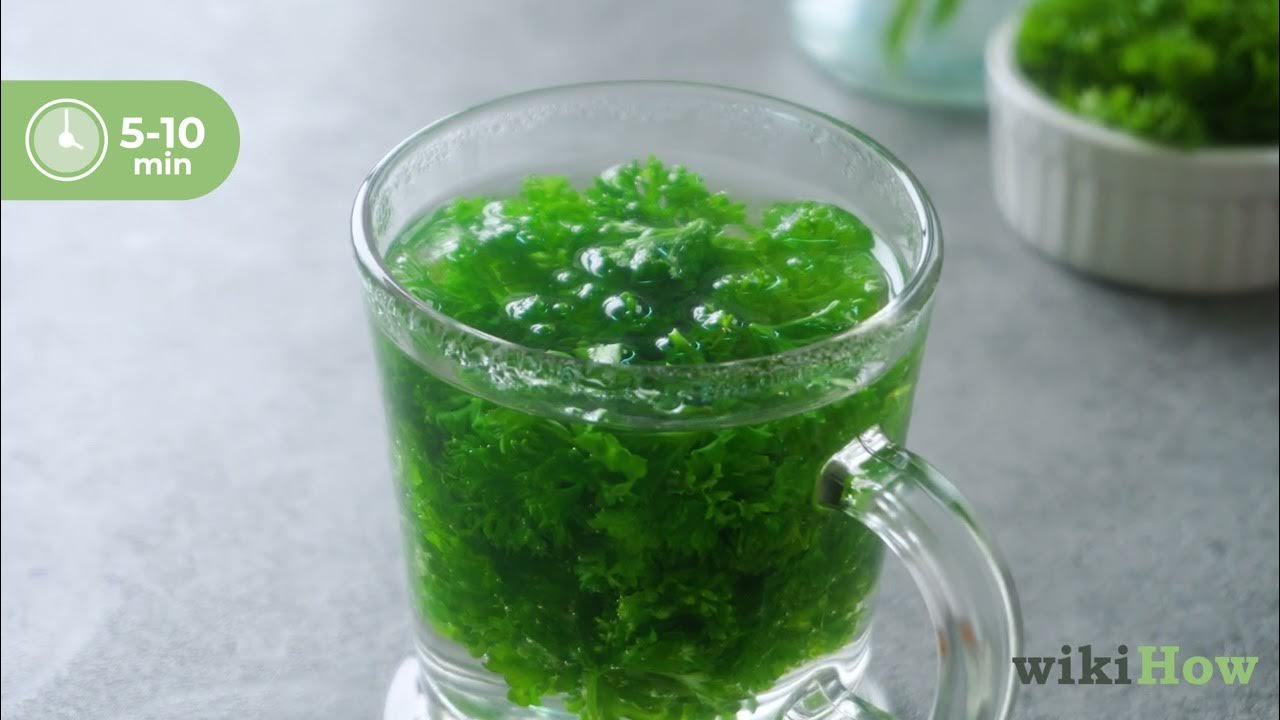 How to Make Parsley Tea YouTube