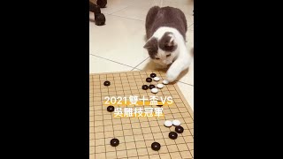 圍棋比賽解說｜雙十盃圍棋賽v.s. 吳雕枝冠軍 