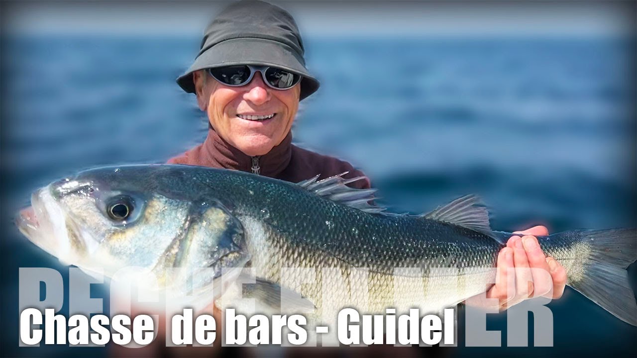 Chasse de bars au large de Doelan