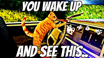 Cat Steals My Car, Chugs Beer, Crashes HARD! 😂 (Seatbelt Lesson)