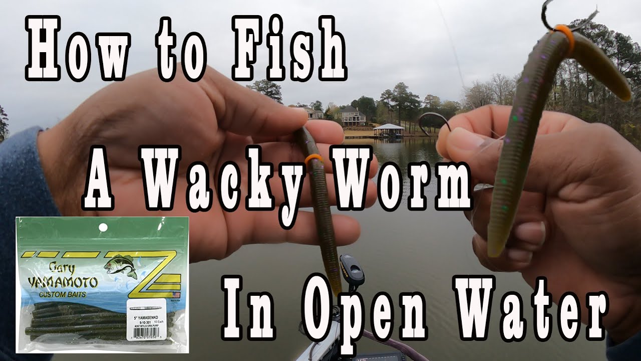 How To Fish A Wacky Worm In Open Water 