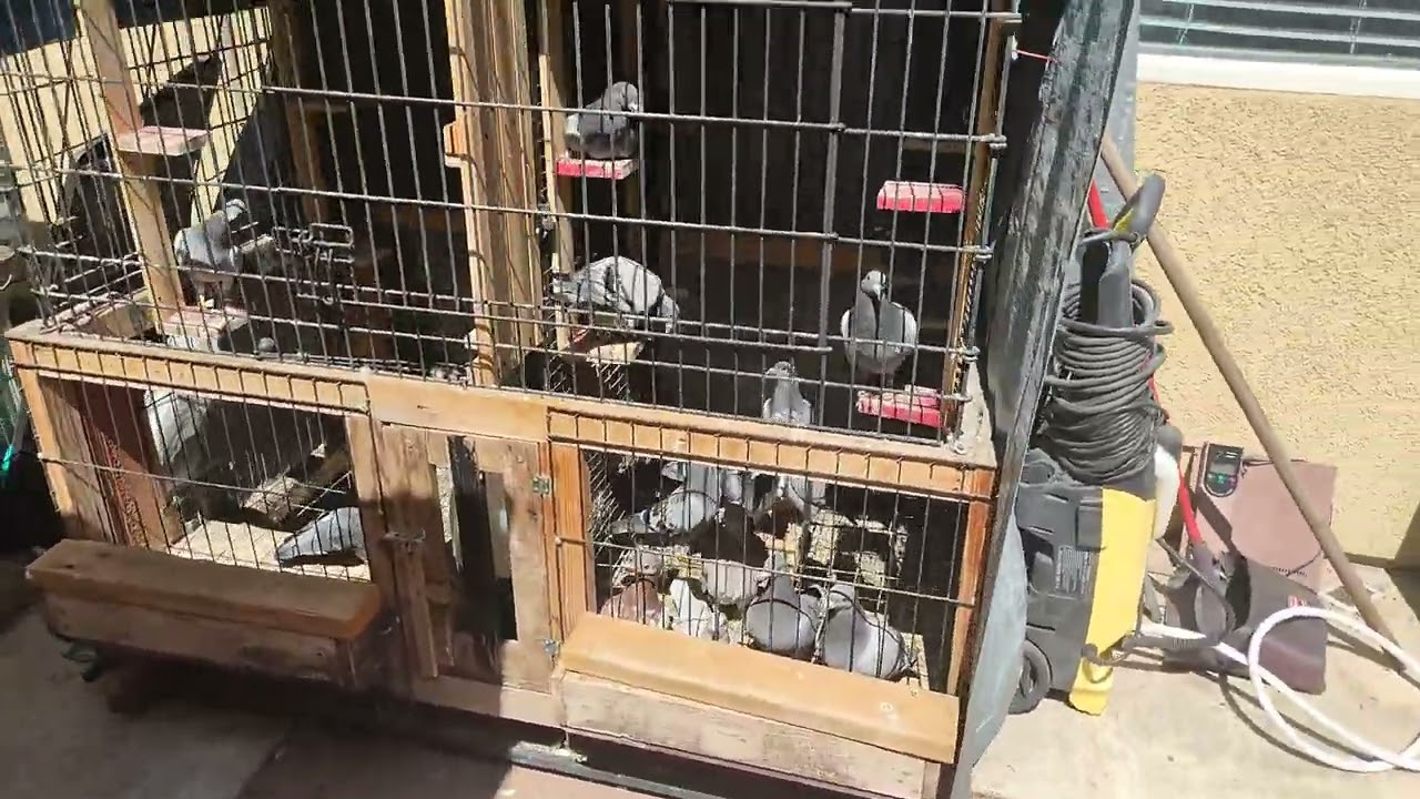 Last week of preparations para sa Sunday Race.Abangan na tayo bukas!