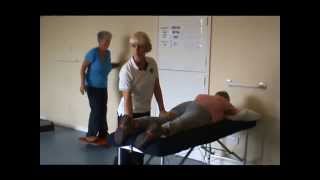 Hip Knee Class