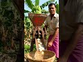 corn 🌽 convert into chips 😦 #trendingvideo #viralvideo #trythis #foryou #food #simplefoodrecipe