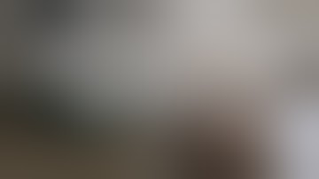 How to Fruit a Shiitake Mushrooms | A Beginner