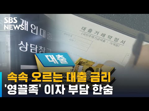 대출 금리 속속 오르는 중…'영끌족' 이자 부담 한숨 / SBS