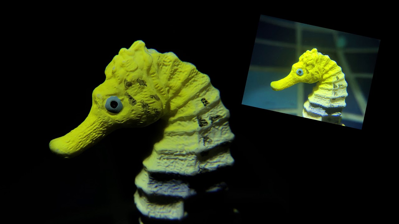 How to take a dark background photo by smartphone