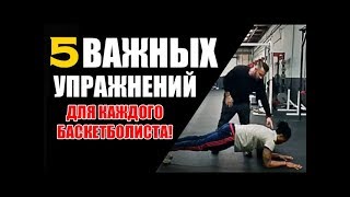 5 НЕЗАМЕНИМЫХ УПРАЖНЕНИЙ ДЛЯ БАСКЕТБОЛИСТА! 5 НЕЗАМЕНИМЫХ УПРАЖНЕНИЙ ДЛЯ БАСКЕТБОЛИСТА!