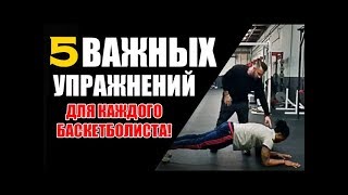 5 НЕЗАМЕНИМЫХ УПРАЖНЕНИЙ ДЛЯ БАСКЕТБОЛИСТА!