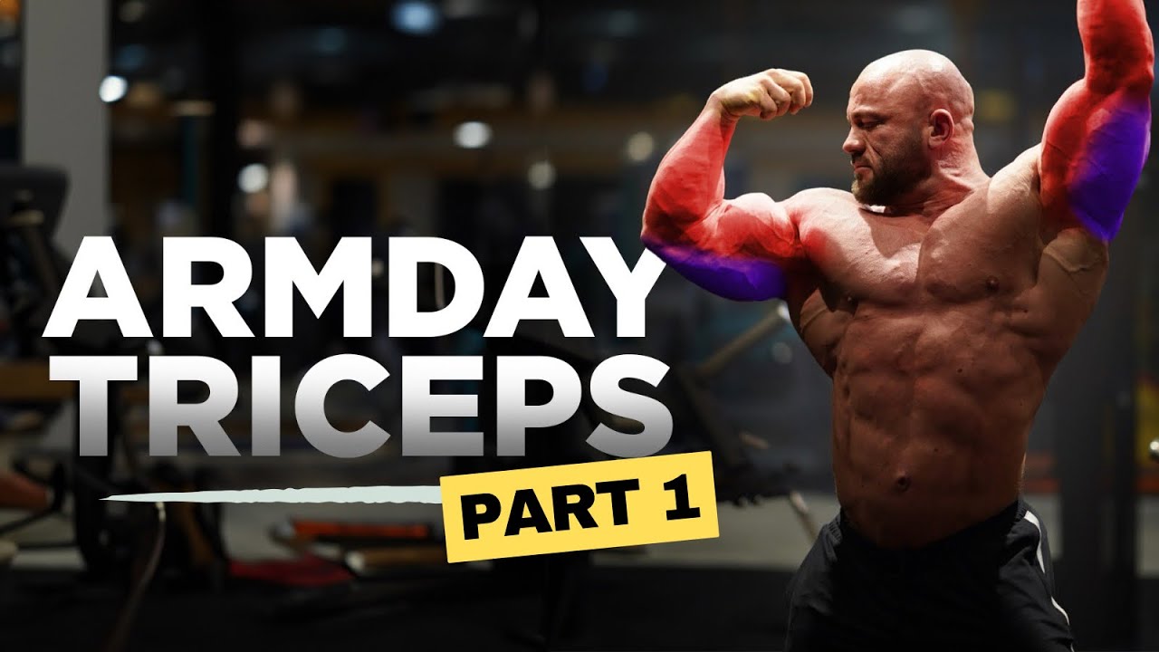 Struktur für ein perfektes ARMTRAINING | Teil 1: TRIZEPS