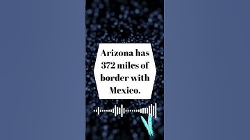 USA General Knowledge Quiz for Americans? #quiz #quiztime #usa #generalknowledge #shortsfeed #shorts