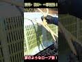 荷物の固定、もうこれでいい。夢のような南京結びです。