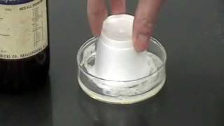 Acetone Dissolving Styrofoam