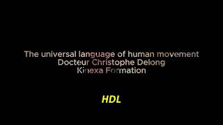 The universal language of human movement