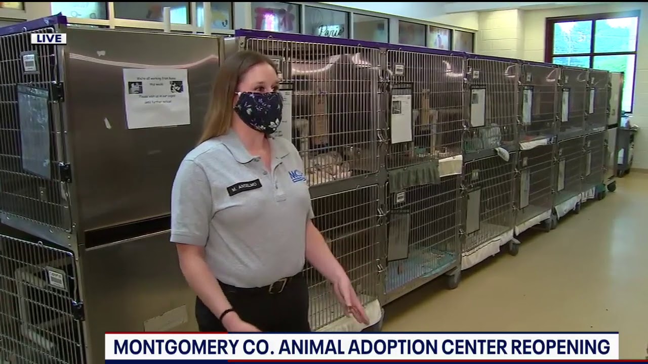 Pay It Forward — Montgomery County Animal Services and Adoption Center