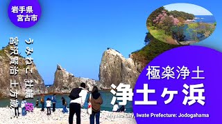 岩手県宮古市「浄土ヶ浜」「さながら極楽浄土のごとし」松の緑と岩肌の白、海の群青とのコントラストはまさに一見の価値ありJodogahama &quot;Just like paradise Jodo&quot;