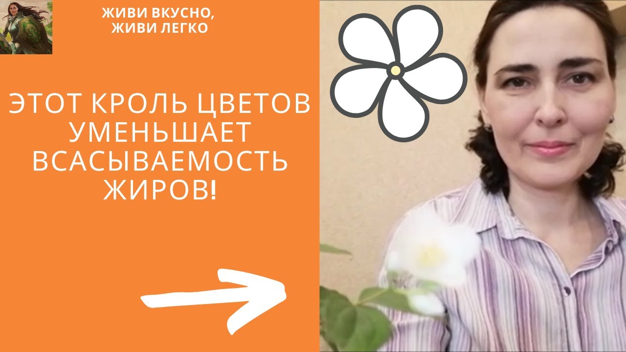 Запах жасмина вестов