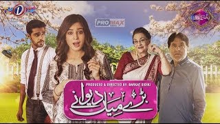 ... cast : samina ahmed,tanveer jamal,seemi pasha,furqan
qureshi,zainab rajafirdos jamal produced & directed...