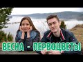 ВЕСНА - ПЕРВОЦВЕТЫ. АПРЕЛЬ, природа только, только проснулась...