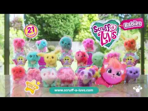 youtube scruff a luvs