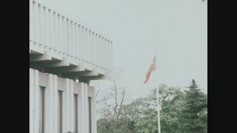 News Item (c8b09a4d-e8fc-df1c-d272-defde9892edb)