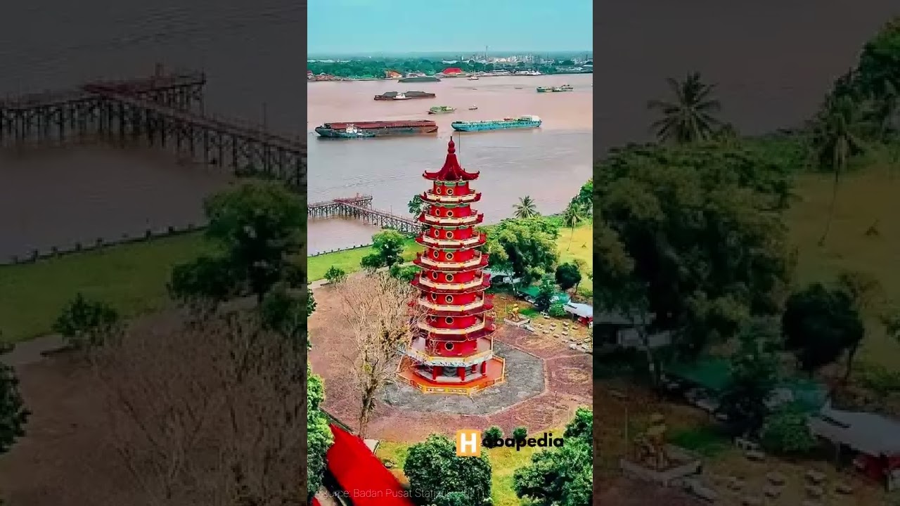 10 Provinsi Penghasil Kelapa Sawit Terbesar di Indonesia 