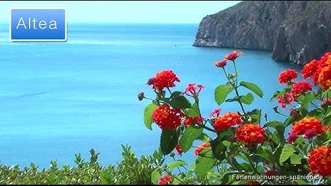 Altea