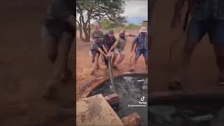 Celebrity Big rock python found in South Africa #snake #snakevideo Profile
