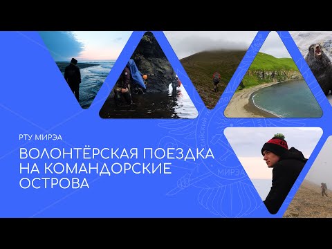 Добровольцы РТУ МИРЭА помогли заповеднику «Командорский» имени С.В. Маракова